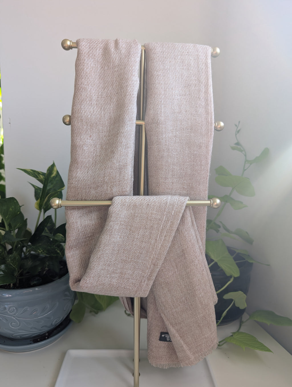 Soft Cashmere Beige Scarf